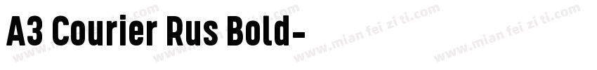 A3 Courier Rus Bold字体转换
